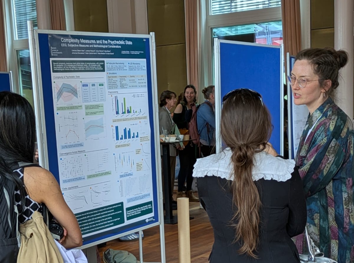ICPR poster on complexity and the psychedelic state, Haarlem 2026