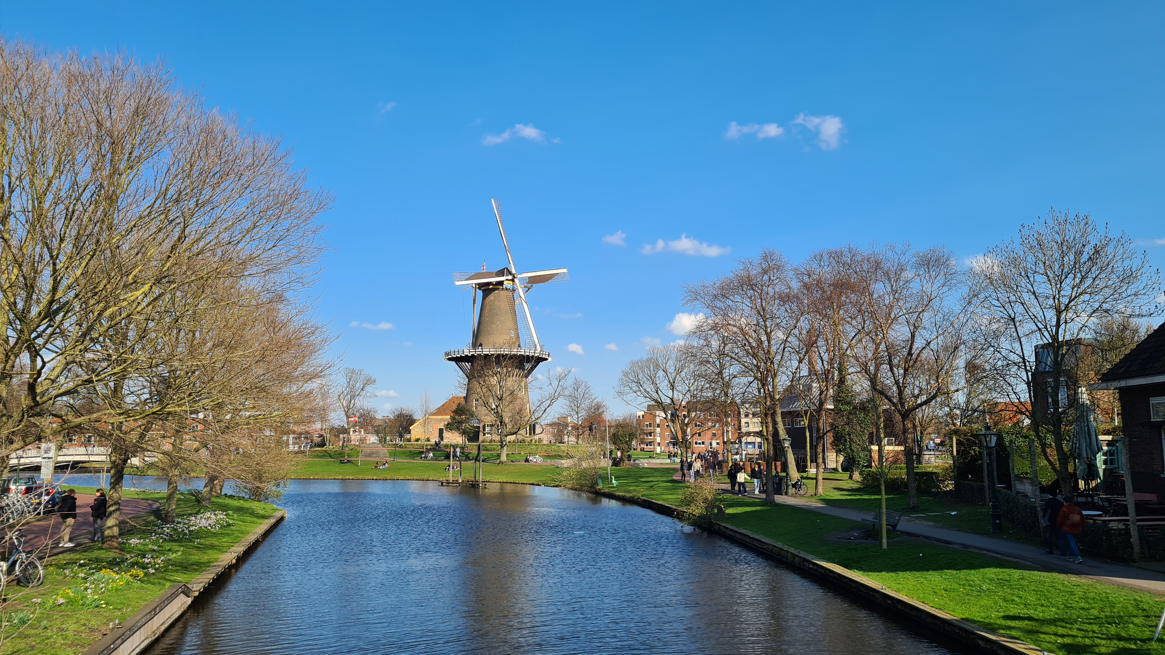 Brain and Organisms: Neuroscience beyond Computation, Lorentz Center Leiden